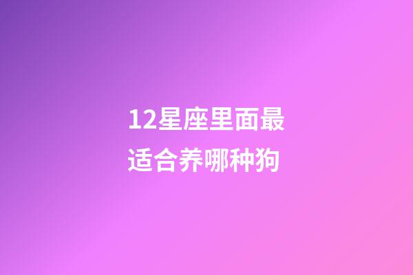 12星座里面最适合养哪种狗-第1张-星座运势-玄机派