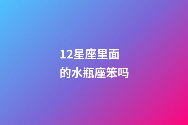 12星座里面的水瓶座笨吗-第1张-星座运势-玄机派