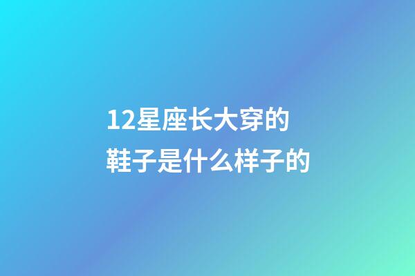 12星座长大穿的鞋子是什么样子的