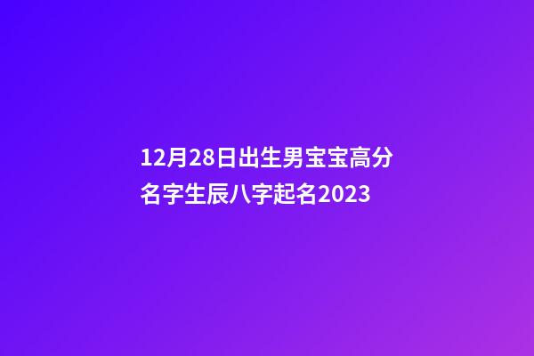 12月28日出生男宝宝高分名字生辰八字起名2023