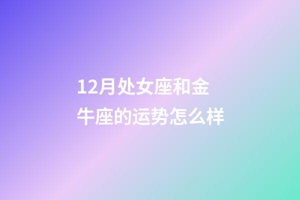 12月处女座和金牛座的运势怎么样-第1张-星座运势-玄机派