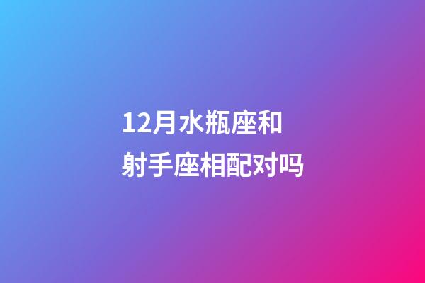 12月水瓶座和射手座相配对吗-第1张-星座运势-玄机派
