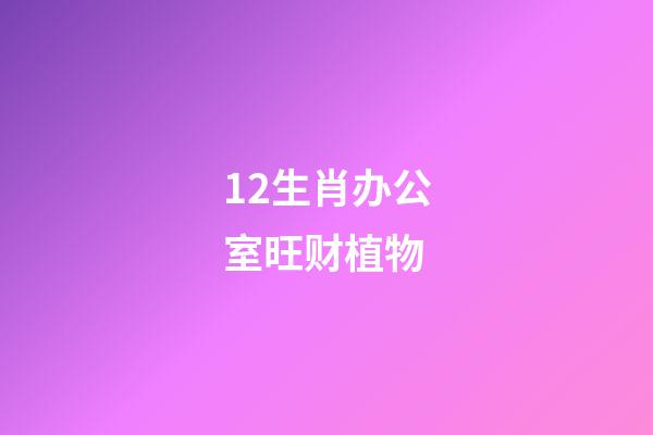 12生肖办公室旺财植物