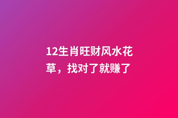 12生肖旺财风水花草，找对了就赚了