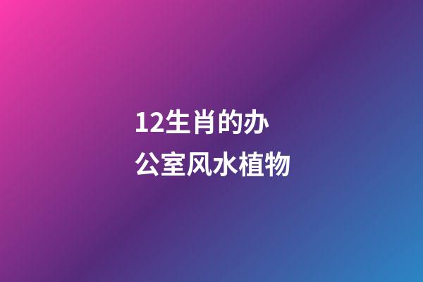 12生肖的办公室风水植物