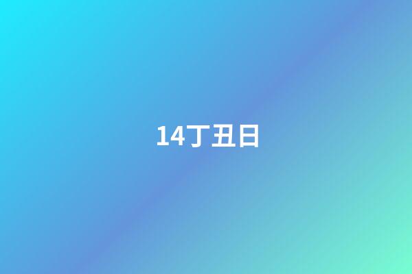 14.丁丑日