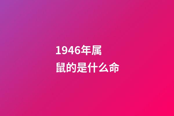 1946年属鼠的是什么命(生肖鼠逐时、逐日、逐年运势 大全)-第1张-观点-玄机派