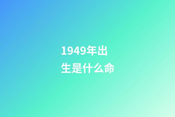 1949年出生是什么命