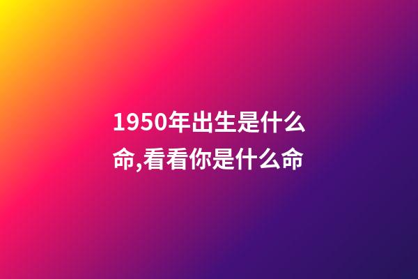 1950年出生是什么命,看看你是什么命-第1张-观点-玄机派