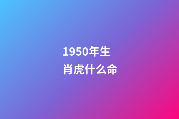 1950年生肖虎什么命