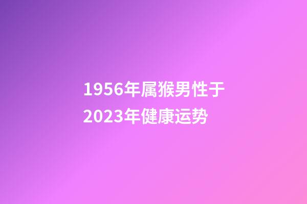 1956年属猴男性于2023年健康运势