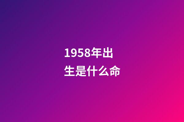 1958年出生是什么命