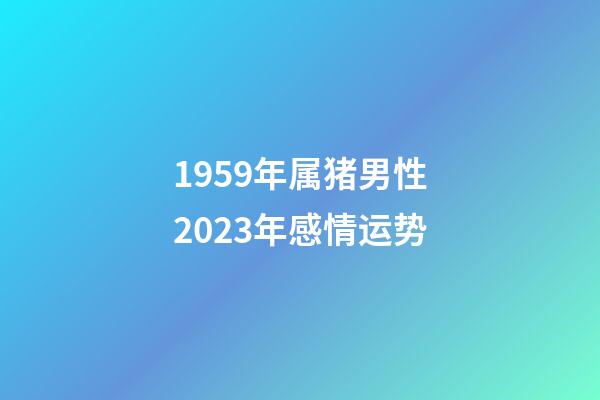 1959年属猪男性2023年感情运势