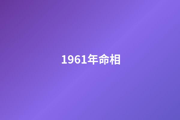 1961年命相