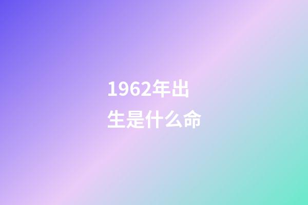 1962年出生是什么命