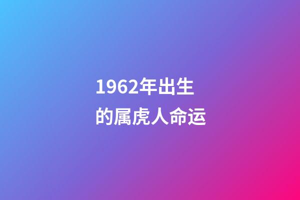 1962年出生的属虎人命运