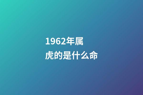 1962年属虎的是什么命