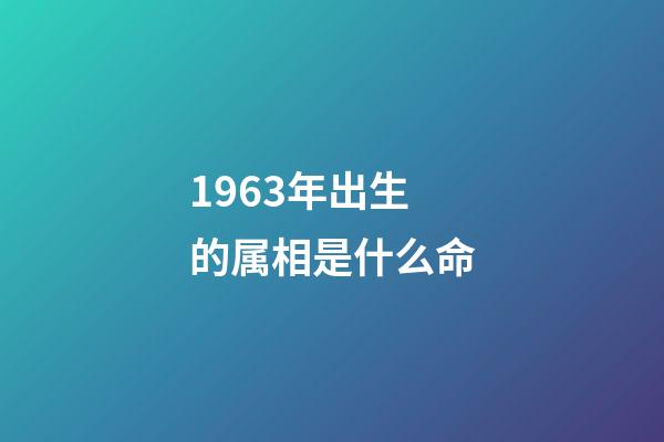 1963年出生的属相是什么命(中国的60后，1963年出生的人，是最幸运的人群)-第1张-观点-玄机派