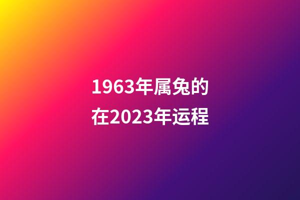 1963年属兔的在2023年运程