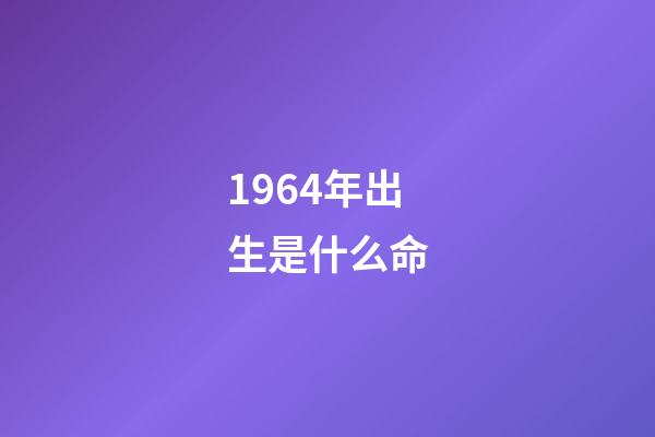 1964年出生是什么命