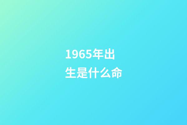 1965年出生是什么命