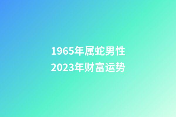 1965年属蛇男性2023年财富运势