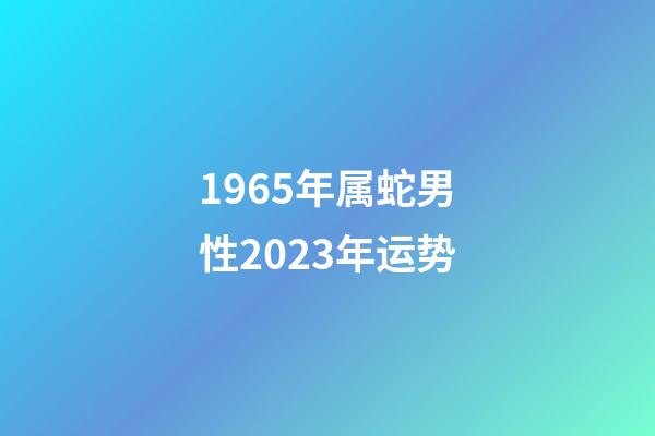 1965年属蛇男性2023年运势