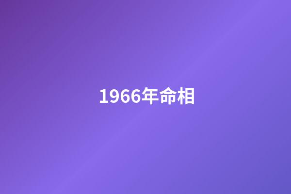 1966年命相