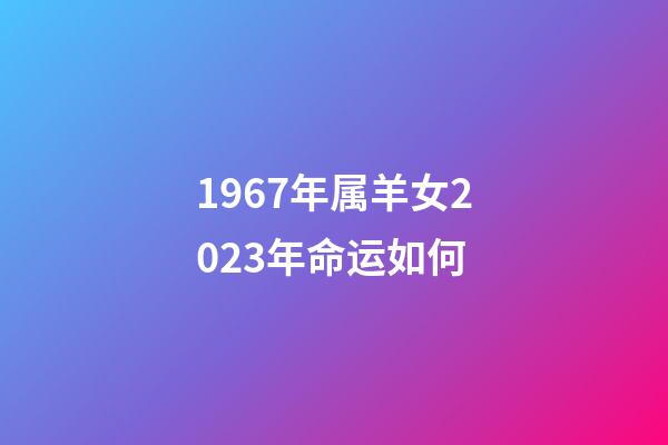 1967年属羊女2023年命运如何(延迟退休要暂停吗？已有两个预兆，60后会有什么利弊呢？提前看看)-第1张-观点-玄机派