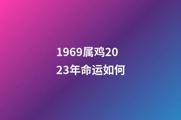 1969属鸡2023年命运如何(1969年出生的男性要延迟退休吗?)-第1张-观点-玄机派