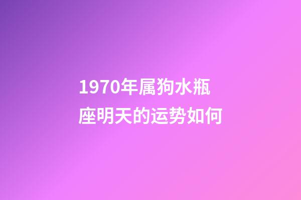 1970年属狗水瓶座明天的运势如何-第1张-星座运势-玄机派