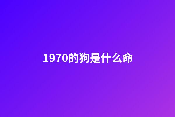 1970的狗是什么命(十个狗有九个福，尤其是1970年，48岁的，看看怎么回事!)-第1张-观点-玄机派