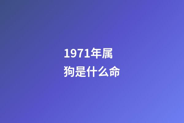 1971年属狗是什么命(详解2019己亥年十二生肖各属相的运势完整版)-第1张-观点-玄机派