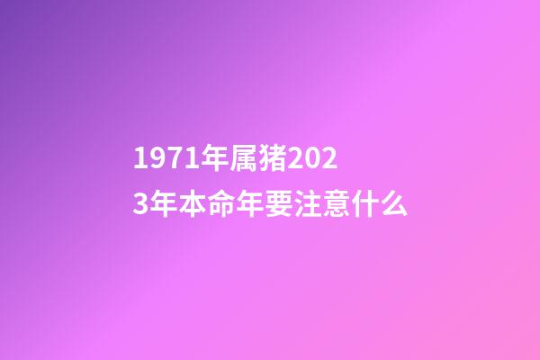 1971年属猪2023年本命年要注意什么