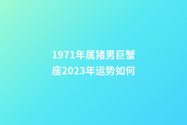 1971年属猪男巨蟹座2023年运势如何-第1张-星座运势-玄机派