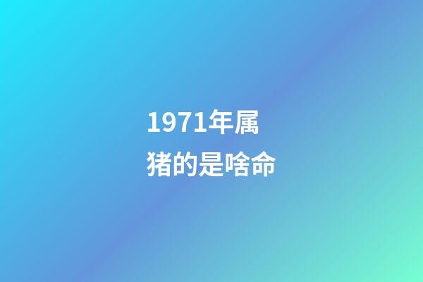 1971年属猪的是啥命(1961~1971年出生且当年交过计划生育罚款的农民，现如今要享福了)-第1张-观点-玄机派