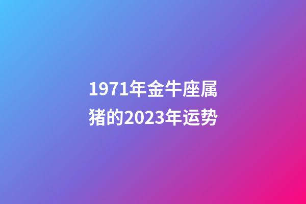 1971年金牛座属猪的2023年运势-第1张-星座运势-玄机派