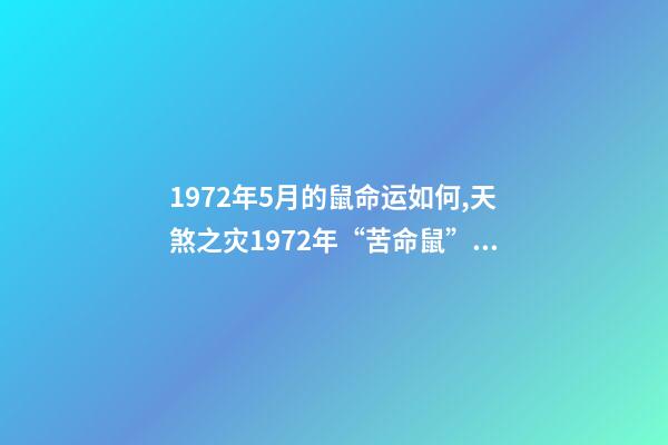1972年5月的鼠命运如何,天煞之灾1972年“苦命鼠”遇到“麻烦事了”-第1张-观点-玄机派