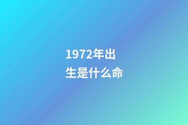 1972年出生是什么命