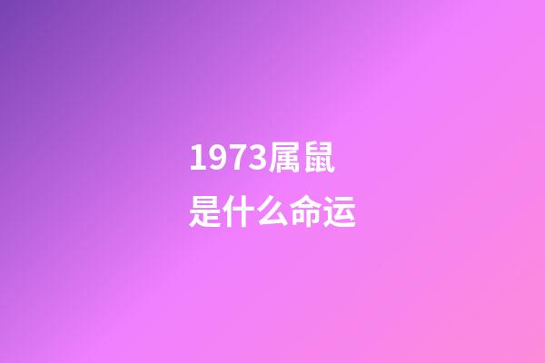 1973属鼠是什么命运(听风观雨系列之二发小篇——命运多舛的红哥2、一路走好)-第1张-观点-玄机派