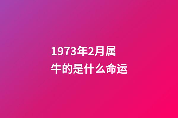 1973年2月属牛的是什么命运(属牛人未来几年的婚姻事业及晚年运势)-第1张-观点-玄机派