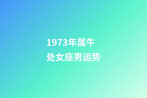1973年属牛处女座男运势-第1张-星座运势-玄机派