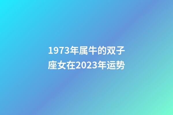 1973年属牛的双子座女在2023年运势-第1张-星座运势-玄机派