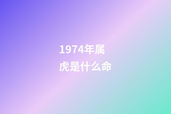 1974年属虎是什么命