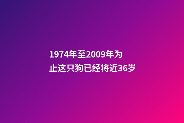 1974年至2009年为止这只狗已经将近36岁-第1张-观点-玄机派