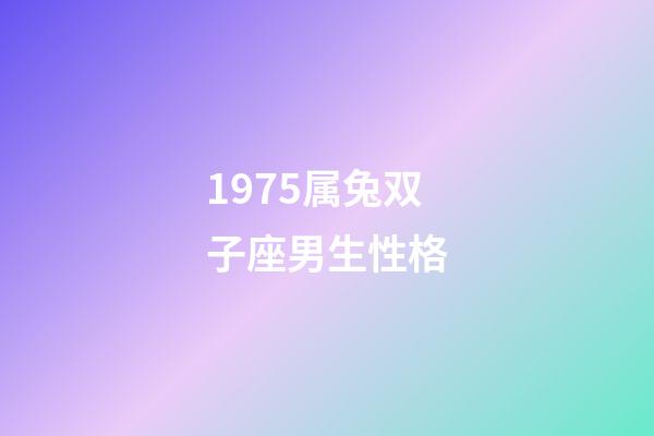 1975属兔双子座男生性格-第1张-星座运势-玄机派