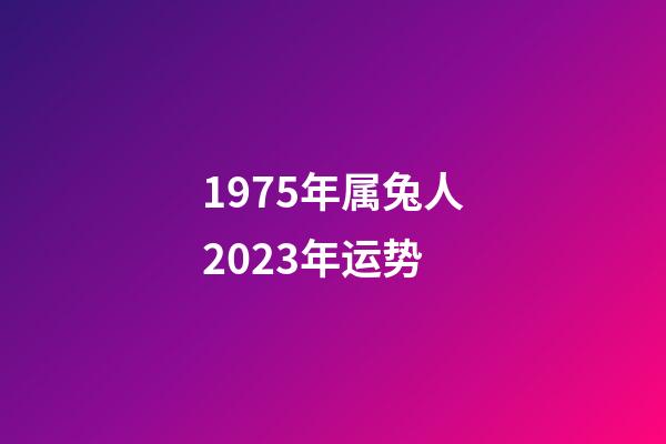 1975年属兔人2023年运势
