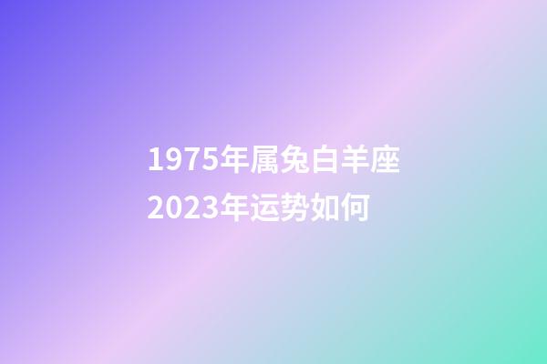1975年属兔白羊座2023年运势如何-第1张-星座运势-玄机派