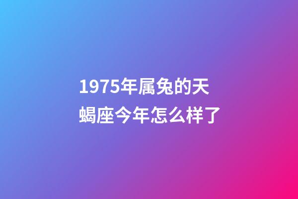 1975年属兔的天蝎座今年怎么样了-第1张-星座运势-玄机派