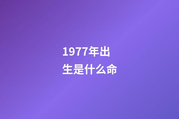 1977年出生是什么命